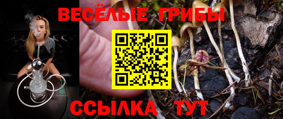 Галлюциногенные грибы GOLDEN TEACHER Сарапул