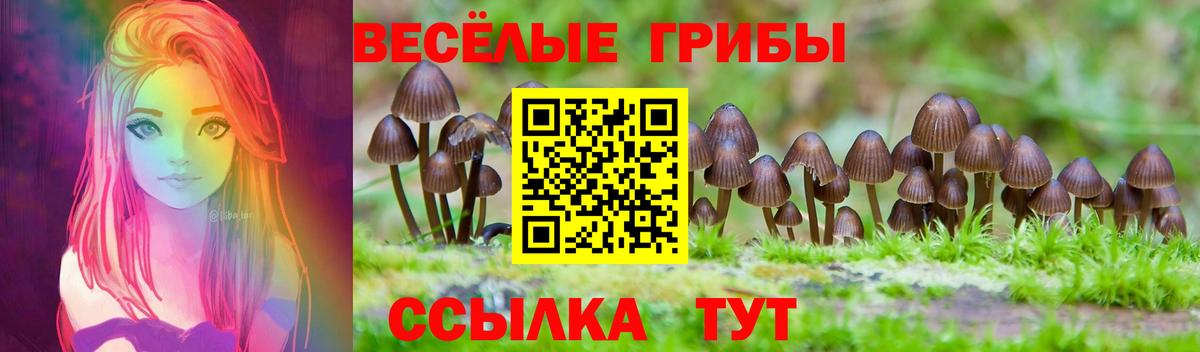 Псилоцибиновые грибы Psilocybine cubensis  Вход с VPN  Псилоцибиновые грибы MAGIC MUSHROOMS  продажа наркотиков  Сарапул 